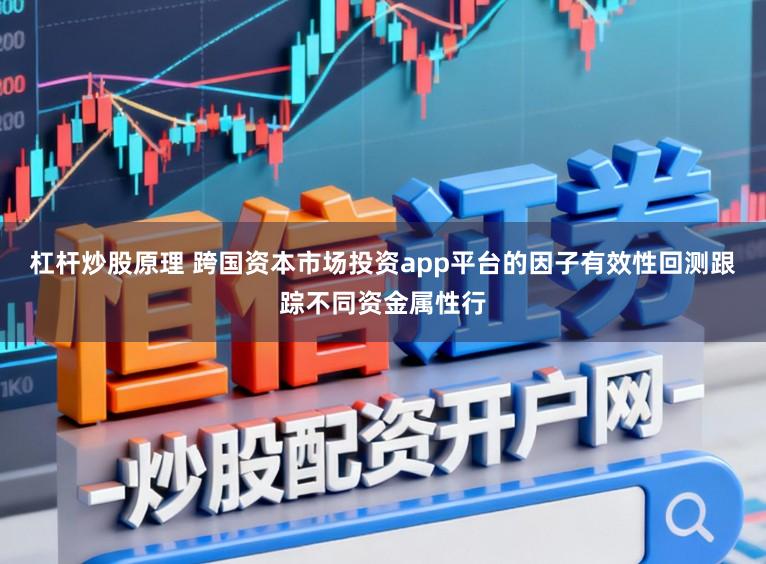 杠桿炒股原理 跨國資本市場投資app平臺的因子有效性回測跟蹤不同資金屬性行